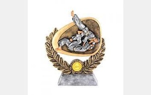 Trophée du sportif de l'année