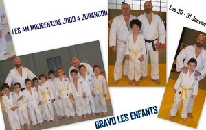 Animation Judo à Jurançon
les 30 et 31 janvier 2016