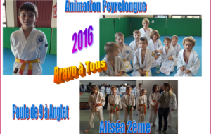 Animation Peyrelongue et Poules de 9 à Anglet 10/11/2016