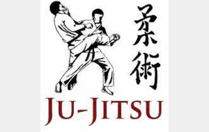 Coupe Ju Jitsu N°2 Anglet