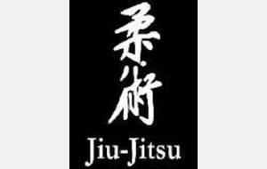 Animation Régional ju jitsu