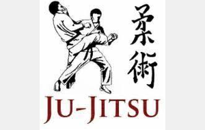 stage et Open Ju jitsu
