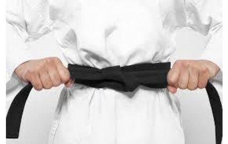 En route pour la ceinture Noire !